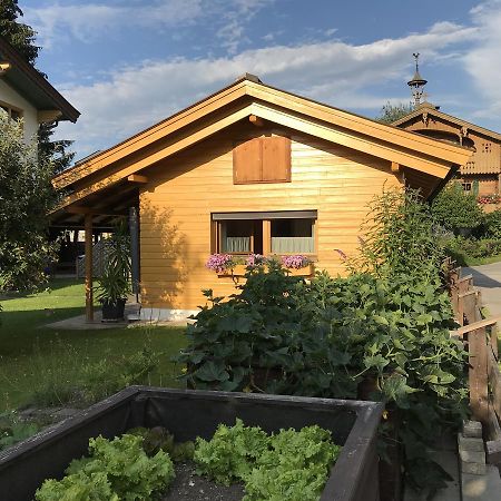 Ferienhaus Hofwimmer Kirchberg in Tirol Eksteriør billede